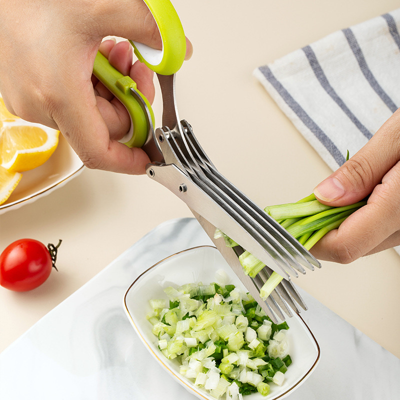 Kitchen Five-Layer Green Onion - Kitchen Appliances Green recensione e prezzo